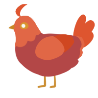 Raider, a red and vermilion chicken with a head pattern