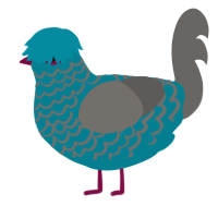 Mop, a sea and grey chicken with a lace pattern