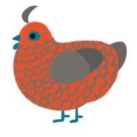 A vermilion and grey chicken with a lace pattern