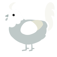 A silver and white chicken with a head pattern