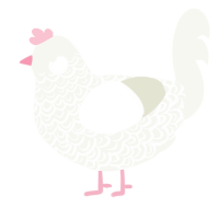 in snow barefoot, a white chicken with a double-lace pattern