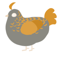A ash and orange chicken with a half-lace pattern