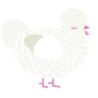 A white chicken with a lace pattern