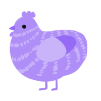 A lilac chicken with a bar pattern