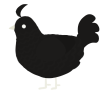 A sable chicken with a lace pattern
