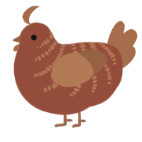 A russet and brown chicken with a half-bar pattern
