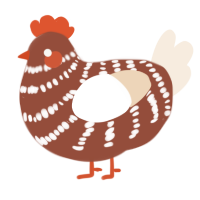 Ginger Bread, a russet and cream chicken with a bar pattern