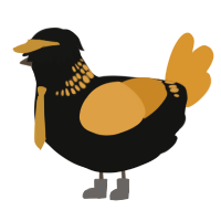 A black and orange chicken with a neck-band pattern