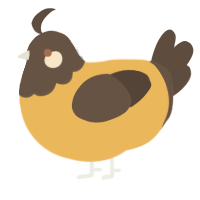 A honey and bark chicken with a head pattern