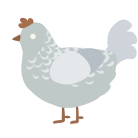 A silver and mist chicken with a half-lace pattern