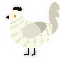 A white and silver chicken with a bar pattern