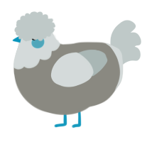 A ash and silver chicken with a head pattern