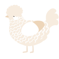 A cream chicken with a lace pattern