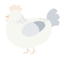A white and mist chicken with a neck-speckle pattern
