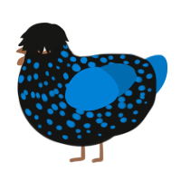 A black and sapphire chicken with a speckle pattern