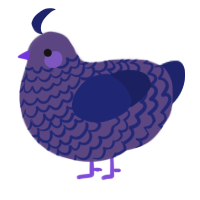 A overcast and navy chicken with a lace pattern