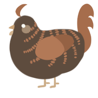 A bark and brown chicken with a half-bar pattern