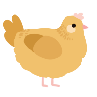 winnie, a honey and orange chicken with a neck-band pattern