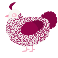 A white and maroon chicken with a double-lace pattern