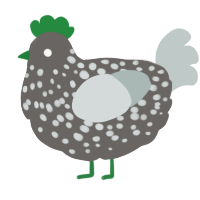 A grey and silver chicken with a speckle pattern