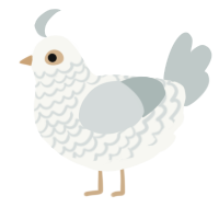 A white and silver chicken with a lace pattern