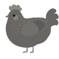 A grey chicken with a half-lace pattern