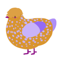 A, a orange and lilac chicken with a speckle pattern