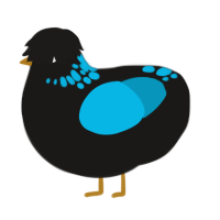 A sable and cerulean chicken with a neck-speckle pattern