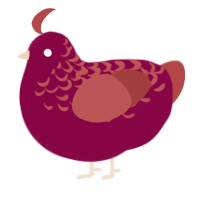 A maroon and red chicken with a half-lace pattern