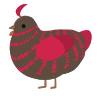A bark and crimson chicken with a bar pattern