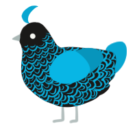 A sable and cerulean chicken with a double-lace pattern