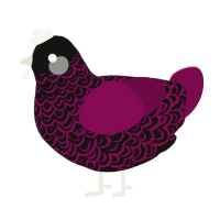 A black and wine chicken with a double-lace pattern