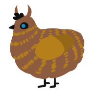 A brown and ochre chicken with a bar pattern