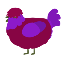 A maroon and violet chicken with a head pattern