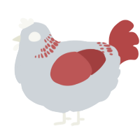 A mist and red chicken with a neck-band pattern