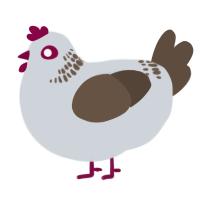 A mist and bark chicken with a neck-band pattern