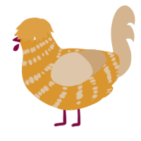 A orange and beige chicken with a bar pattern