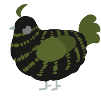 A sable and olive chicken with a bar pattern