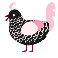 A sable and rose chicken with a lace pattern