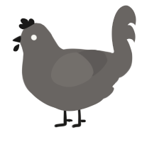 A grey chicken