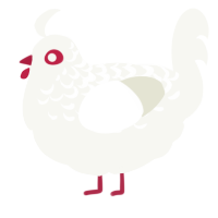 Redeye, a white chicken with a half-lace pattern