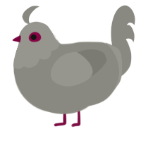 (unnamed), a ash chicken with a head pattern