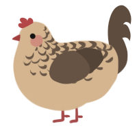 A beige and bark chicken with a half-lace pattern