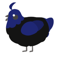 2, a black and navy chicken with a head pattern