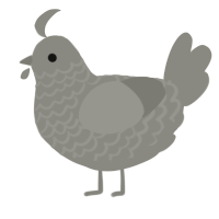 A ash chicken with a lace pattern