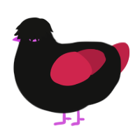 A black and crimson chicken