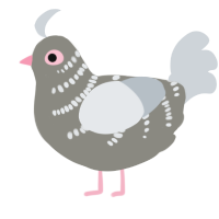 City Folk, a ash and mist chicken with a half-bar pattern