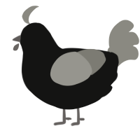 A black and ash chicken