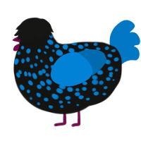 A black and sapphire chicken with a speckle pattern