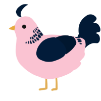 (unnamed), a rose and tumblr chicken with a neck-band pattern